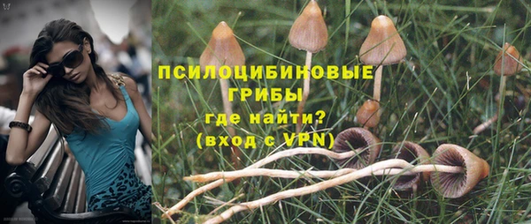 apvp Белоозёрский