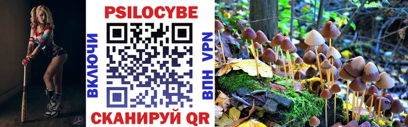 ссылка на мегу ссылки закладки Горячий Ключ Псилоцибиновые грибы MAGIC MUSHROOMS