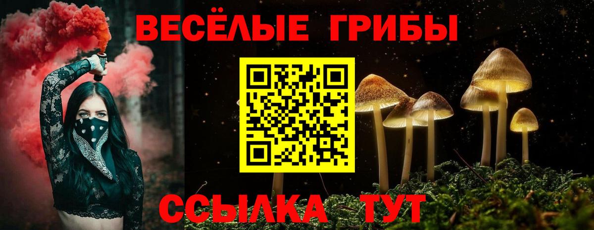 Горячий Ключ  Псилоцибиновые грибы GOLDEN TEACHER  даркнет сайт  Вход с VPN 